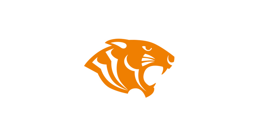 logo tiger group