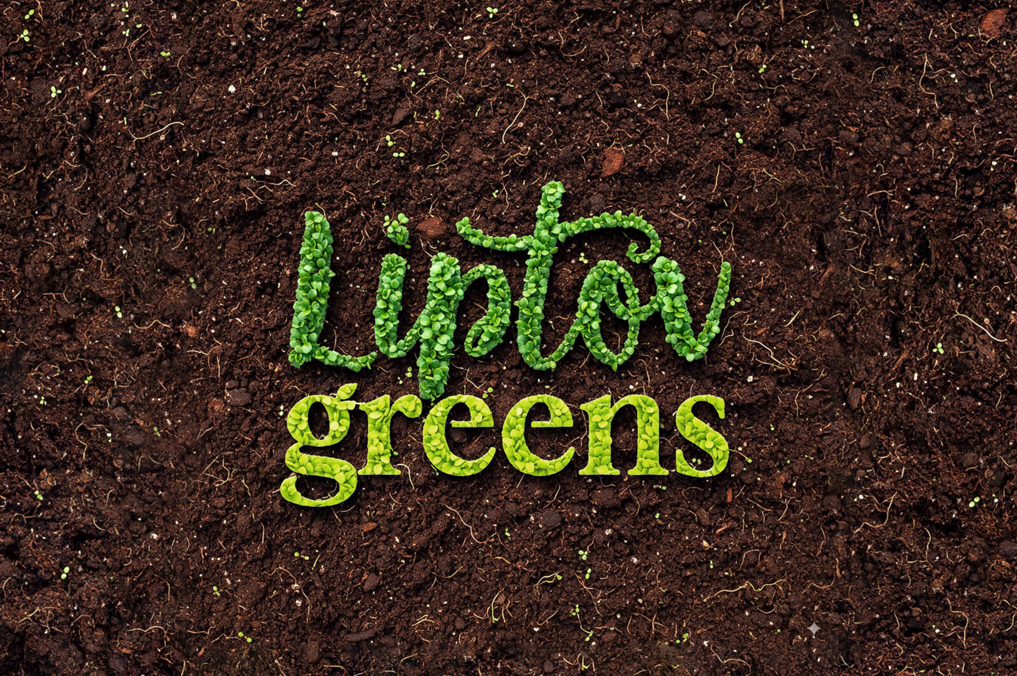 Liptov Greens packaging & branding